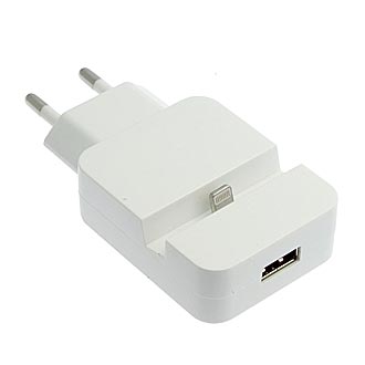 iPhone 5 USB Charging socket
