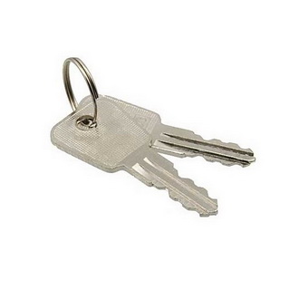 Ключ - выключатель SK25-03A key RUICHI