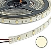  : 5050 150LED IP68 12V*36W W-WHITE