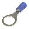 : RV2-10 blue