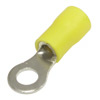 : RV5.5-5 yellow