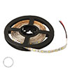 2835 300LED IP33 12V WHITE