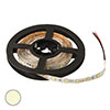  : 2835 300LED IP33 12V W-WHITE