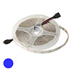  : 2835 300LED IP65 12V BLUE