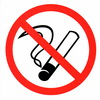 Информационный знак Курить запрещено ПВХ 200х200