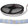  : 5050 300LED IP68 12V BLUE