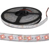  : 5050 300LED IP68 12V RED