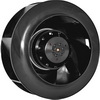 : RQF 225FLW2