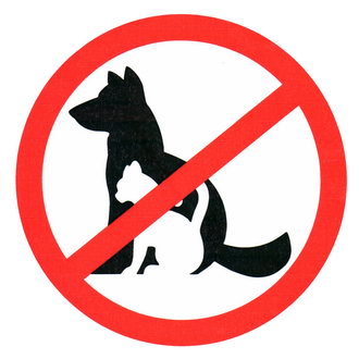 Информационные знаки С животными вход запрещен 150х150 ЗИП