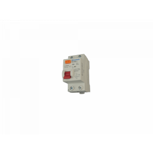 Модульные Устройство защитного отключения RCCB21J-10-1N32AC30 1P+N 32A 30mA Type AC 2х модуль Elcomtech